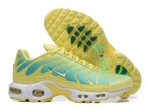 Nike Air Max Plus Tn （40-46）