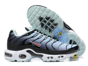 Nike Air Max Plus Tn （40-46）