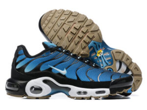 Nike Air Max Plus Tn （40-46）