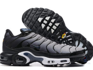 Nike Air Max Plus Tn （40-46）