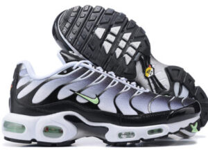 Nike Air Max Plus Tn （40-46）